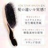 HAIRSTAR Ion Star Brush Hair Brush Negative Ion (Chrome Black)