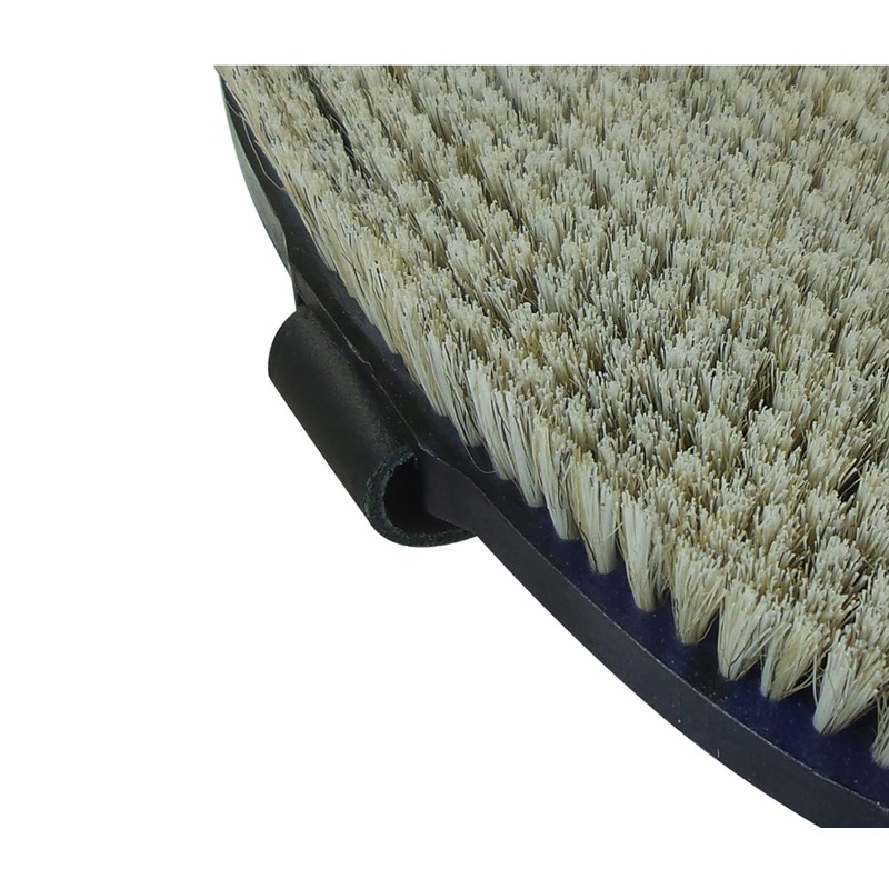 Horse brush -Fellglanz- dense white horsehair from Haas for Markgraf