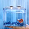 Modular Betta Fish Tank with LED Lighting & Mini Landscape