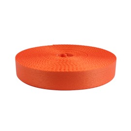 Strapworks Colored Picture Quality Polyester Webbing - Strap For Outdoor Activities, Crafts, Dog Leashes - 1 Inch x 10 Yards