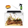 Reptile Growth Mini Reptile Terrarium,12" x 7"x 9" Reptile Tank