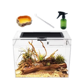 Reptile Growth Mini Reptile Terrarium,12" x 7"x 9" Reptile Tank with Full View Visually Appealing，for Insect，Fish，Tarantula，Hermit crab，Jumping spider，Iguana，Tortoise，Leopard Gecko，Frog，Bearded dragon