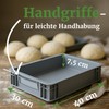 Bäckerei Spiegelhauer Pizza Ball Box with Lid and Dough Scraper,