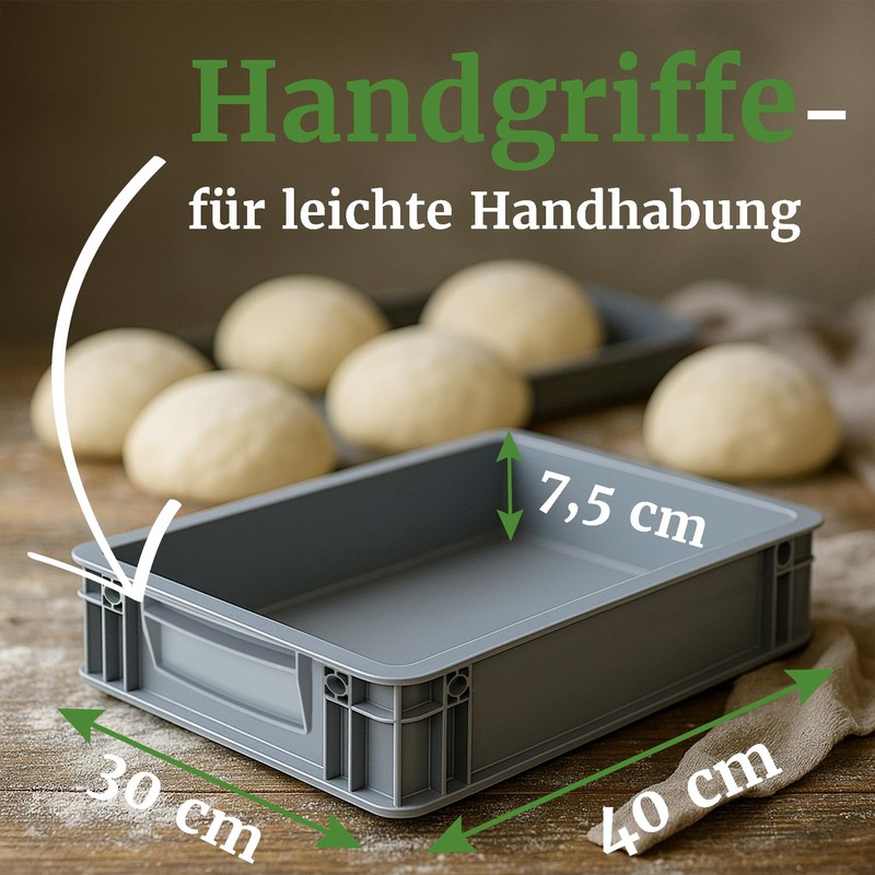 Bäckerei Spiegelhauer Pizza Ball Box with Lid and Dough Scraper,