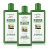equilibra Hair Strengthening Anti-Hair Loss Shampoo Gently Cleanses Brittle Hair