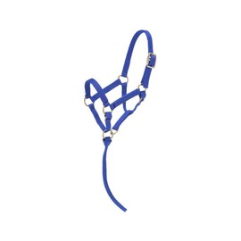 Tough 1 Tough-1 Miniature Nylon Halter, Royal Blue, Small Mini.