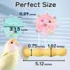 Bird Toys Stand Perch Set: Interactive Wheel & Standing for