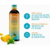 Mielle Organics Mango & Tulsi Nourishing Shampoo