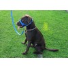 Headcollar Dog Halter/Training Head Collar Training Tool Dog, Head Harness