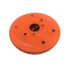 LITEC DP057 Shape Up Twister