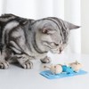 Cat Toy, Pet Toy, Mouse Toy, Set of 8, Cat