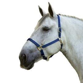 Dura-Tech Draft Horse Nylon Halter | Durable & Adjustable | Multiple Colors | Brass-Plated Hardware | Color Navy