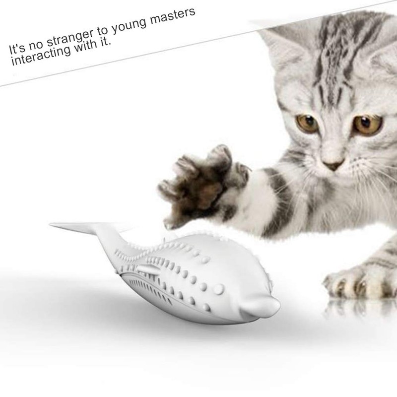 Arinda Silicone Fish Shape Cat Toothbrush Teething Toy with Catnip