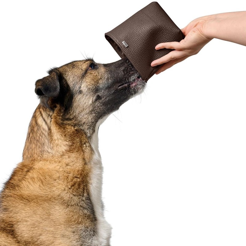 HUNTER Sofia Snack Bag One Size Red