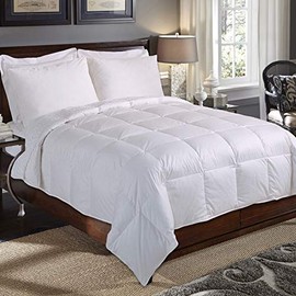 Blue Ridge Home Fashions, Inc. 240 Thread Count Baffle Box Down Fiber Full-Queen in White Color DOWN/DOWN DOWN/DOWN BLEND COMFORTER,