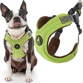 Gooby Escape Free Memory Foam Harness - Green, Medium - No Pull Step-in Small Dog Harness with Four Point Adjustment - Perfect on The Go Dog Harness for Medium Dogs No Pull and Small Dogs