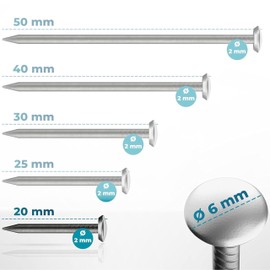 FIXXIA FIXXIA Bildern?gel mit oder ohne Einschlaghilfe, 30 Stck ?2mm, schwarz mit gold-, oder silberfarbenem Dekokopf ?6mm, 20, 25, 30, 40, 50mm, Betonn?gel, Wandnagel (Silber mit Halter, 20mm)