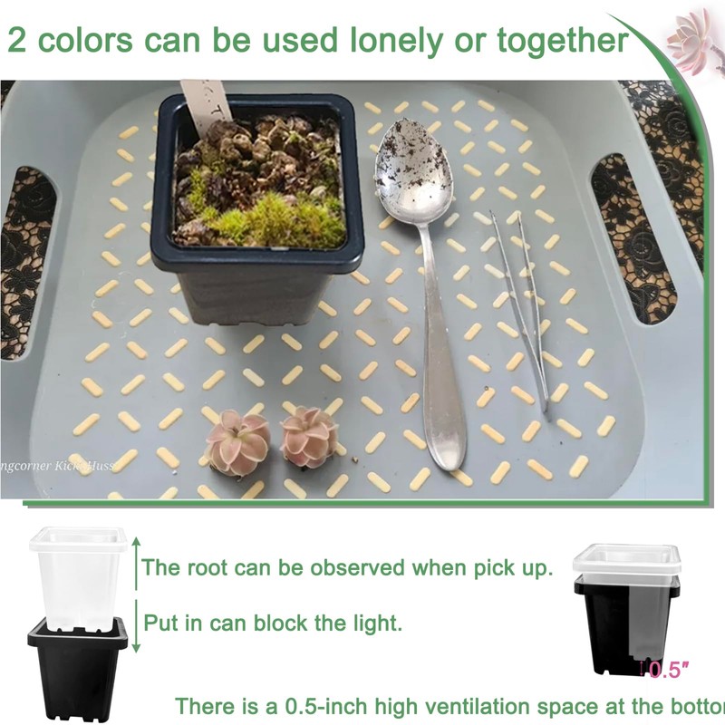 Gyfofix 2 Inch Square Plant Nursery Pots (Black+Clear),50Pcs Seedling Planter