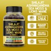 DORADO NUTRITION Shilajit Gummies with Sea Moss, Ashwagandha & Lions