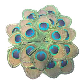 MWOOT 30 Pieces Peacock Feathers, Green Peacock Eye Feathers for DIY Crafts Art, Trimmed Feathers for DIY Vintage Hair Accessories Carnival Revelry Masquerade Costume Wedding Holiday Party Decoration