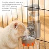 Rabbit Heated Water Bottle 500ml Bunny Hanging Water Fountain Automatic