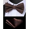 HISDERN Bow Tie Pre-Tied Men's Bow Tie with Pocket Square
