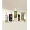 Jung Saem Mool Salon Protein Recharging Shampoo 400g (50g Recharging