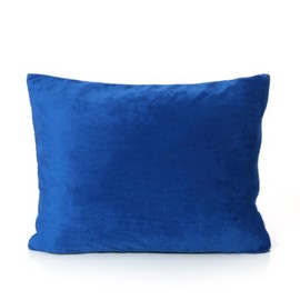 My First Pillow Memory Foam Youth Pillow, 1'8" x 1'4" x 3", Blue