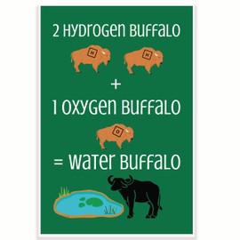 Printlabz 2 Hydrogen Buffalo + 1 Oxygen Buffalo = Water Buffalo Classroom Poster - Funny Punny Science Biology - 12 x 18 Inch - Classroom Decor - Classroom Must Haves - Back To School Decor - CPS0485