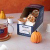 Organic Positively Tea Company, Pumpkin Spice Black Tea, K-Cup Compatible,