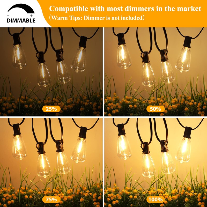 Brightever 30FT LED Outdoor String Light with 16 ST38 Vintage