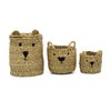 Carousel Home Set of 3 Seagrass Teddy Bear Storage Baskets