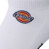 Dickies Socks, Logo Embroidery, Bottom Pile Sneakers, Ankle, white