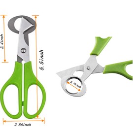 Pack of 25 Quail Egg Cartons, Small Eggs Dispenser Holder Case,Plastic Egg Protection Box and 2PCS Stainless Steel Quail Egg Cutter Scissors Pigeon Bird Quail Egg Cutter Opener