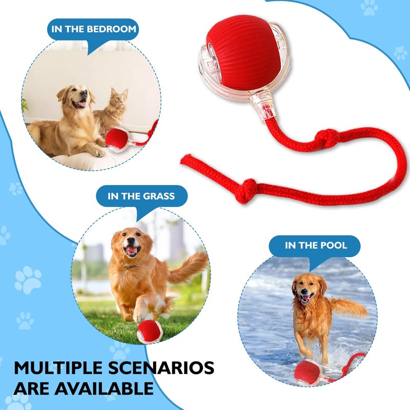 Twinsun Chewie Viral Rolling Ball - Interactive 360° Smart Automatic