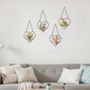 Cinnvoice 4 Pcs Heart Glass Pressed Flower Frame, Heart Hanging