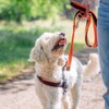 Nobby Norwegian Harness Mesh Preno, Light Blue, L: 38-50 cm