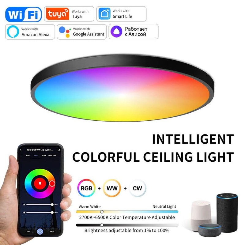 achilra Smart WiFi Ceiling Light, APP or Voice Control, 24W