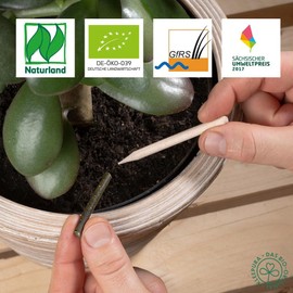 KleePura KleePura Bio Dünge Sticks für Topf- und Zimmerpflanzen, ca. 200 Stück, Vegane Düngestäbchen für Blüh- & Grünpflanzen