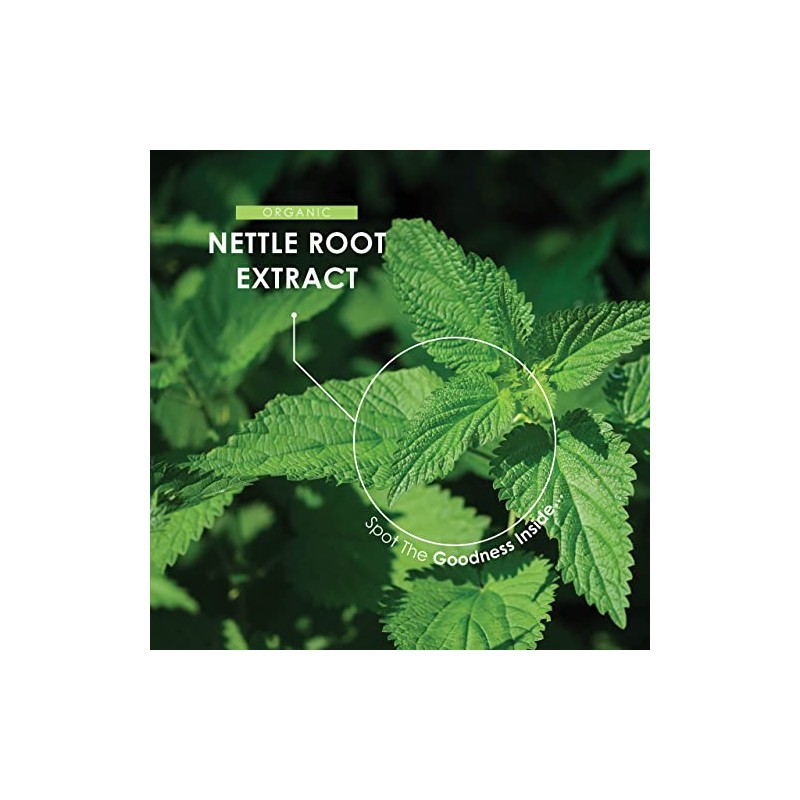 Organic Nettle Root Extract 5000mg - Potent Urtica Dioica Extract
