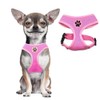 BINGPET Small Dog Harness - Breathable Mesh Puppy Cat Harness