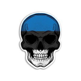 2 x 10cm Estonia Skull Stickers - Estonian Europe Flag Travel Holiday Pirate Funny Kids Girls Boys Men Women Scrapbook Sticker #82073