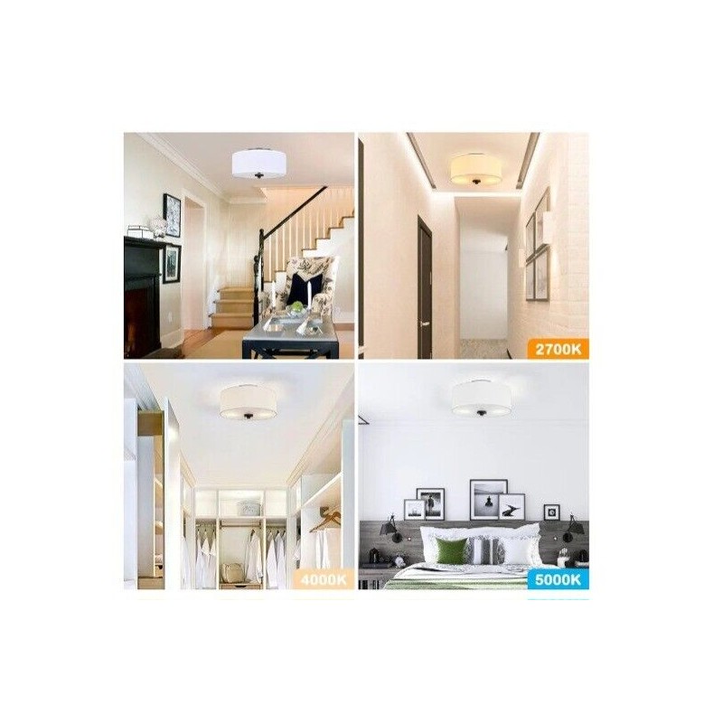 Lodstob 2-Light Flush Mount Ceiling Light Fixture, 12" Modern Close