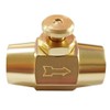 Uenede Brass 1/4" NPT Female Thread, Push Button Check Valve,