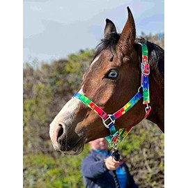 Equipride Rainbow Coloured Headcollar With Matching Lead Rope Chrome Fitting Size Full to Mini Shetland (Shetland)