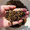 Natural Crystal Buddhist Tools, Washable Crystal, Incense Burner Ash, Incense