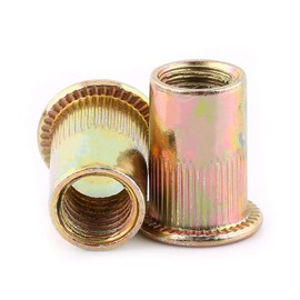 Rivet Nuts M10 Carbon Steel Flat Metric Threaded Rivet Nut Flange Rivnut Nutsert Fastener (M10-20pcs)