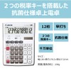Canon HS-1250WUC Business Calculator Anti-bacterial Specification (12 Digit / Large