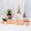 Eywamage Ivory Flameless Wax Tealights with Remote Batteries, Flickering Realistic