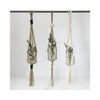 East of India Small Macrame Pot Holdenatural Cotton